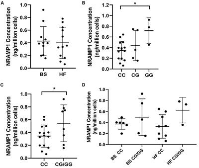 Analysis of Genetic Variation in the Bovine SLC11A1 Gene, Its Influence on the Expression of NRAMP1 and Potential Association With Resistance to Bovine Tuberculosis